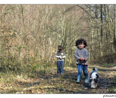 410