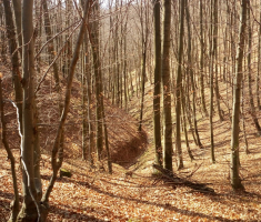20170304_ravna_gora_012