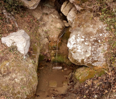 20170304_ravna_gora_042