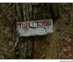 Izvor