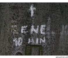 Žene