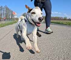 20260404_hrv_sahara_trail_014