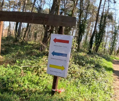 20260404_hrv_sahara_trail_029