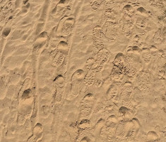 20260404_hrv_sahara_trail_035