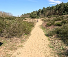 20260404_hrv_sahara_trail_036