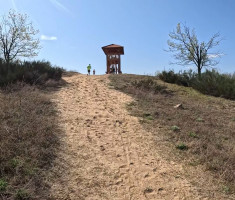 20260404_hrv_sahara_trail_037