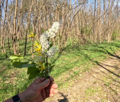 20260404_hrv_sahara_trail_044