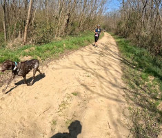 20260404_hrv_sahara_trail_074