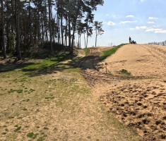 20260404_hrv_sahara_trail_107