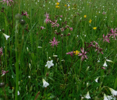 20190504_moslavina_trail_174