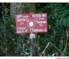 Putokaz