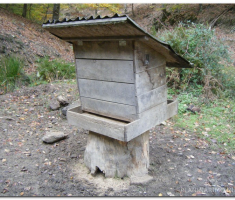 krndija00015