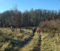 201601204_krndija_023