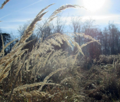 201601204_krndija_026