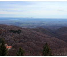 pustinjak__003