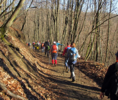 20170205_mecsek_021