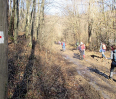 20170205_mecsek_033