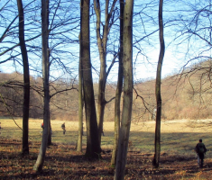 20170205_mecsek_035