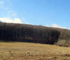 20170205_mecsek_041
