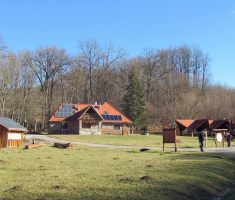 20170205_mecsek_044