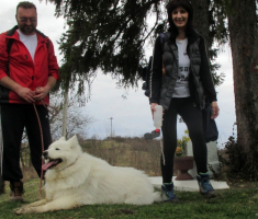20170305_dilj_gora_014