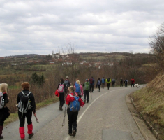 20170305_dilj_gora_017
