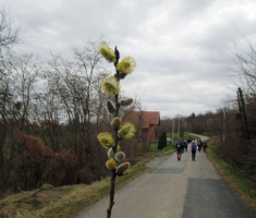 20170305_dilj_gora_033