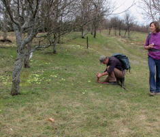 20170305_dilj_gora_035