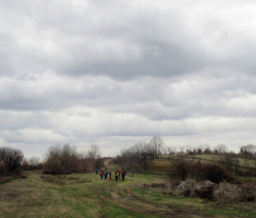 20170305_dilj_gora_042