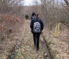 20170305_dilj_gora_048