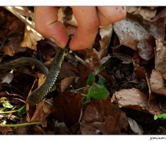 694