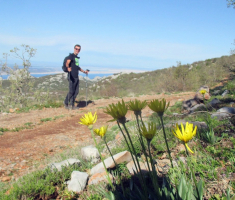 20170506_velebit_sv_brdo_006