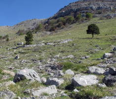 20170506_velebit_sv_brdo_026