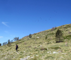 20170506_velebit_sv_brdo_034