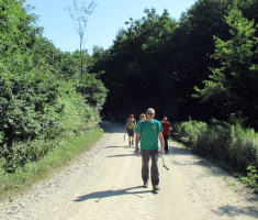 20150705_papuk_006