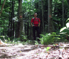 20150705_papuk_031