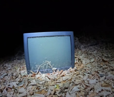 20260905_baranja_night_trail_138