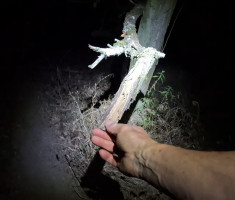 20260905_baranja_night_trail_140