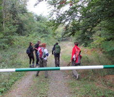 20141005_stjenjaci_krndije_004