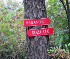 20141005_stjenjaci_krndije_005