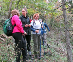 20141005_stjenjaci_krndije_006