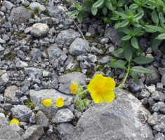 20141005_stjenjaci_krndije_032