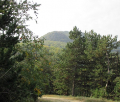 20141005_stjenjaci_krndije_034