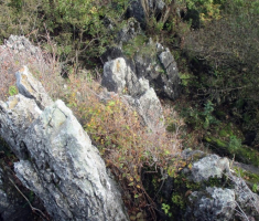 20141005_stjenjaci_krndije_046