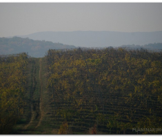 prigorje_00006