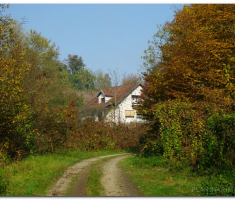 prigorje_00015