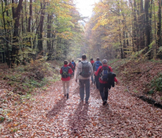 20161105_krndija_004