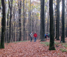 20161105_krndija_007