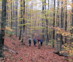 20161105_krndija_010