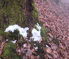 20211205_prva_zadnjega_061